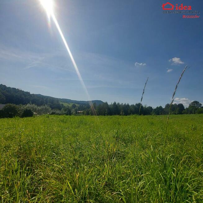 Działka Jasienica Rosielna