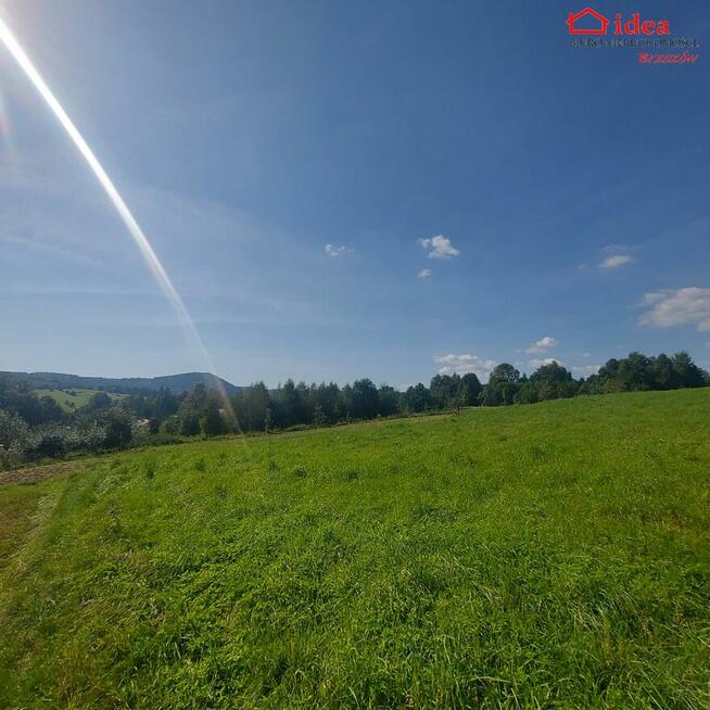 Działka Jasienica Rosielna