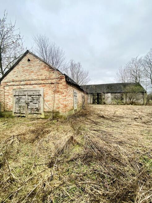 SIEDLISKO W DĄBRÓWCE KOŚCIELNEJ