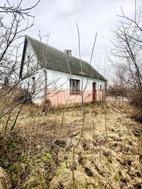 SIEDLISKO W DĄBRÓWCE KOŚCIELNEJ