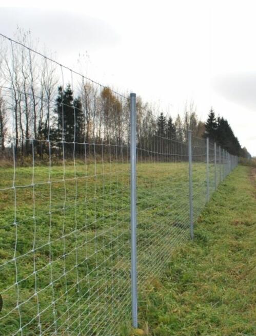 Ogrodzenie siatka leśna