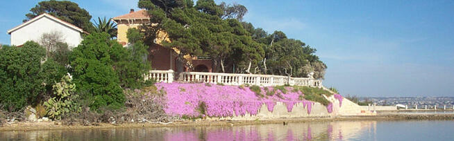 Prywatna Wyspa Santa Maria Włochy Morze Śródziemne