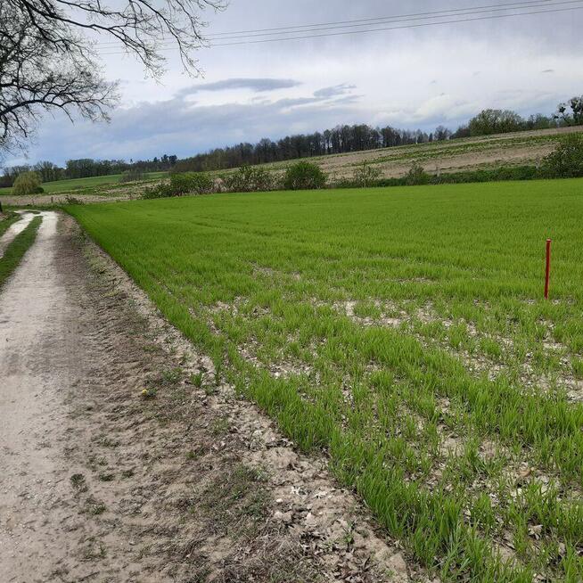 Sprzedam działkę pod budowę
