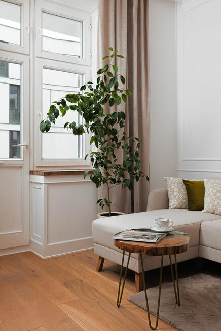 Stylowe mieszkanie w kamienicy | 3 pokoje | W pobliżu Parku