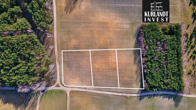 Działka Iwiec ok. 1.090 m² las Cekcyn