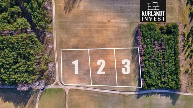 Działka Iwiec ok. 1.090 m² las Cekcyn