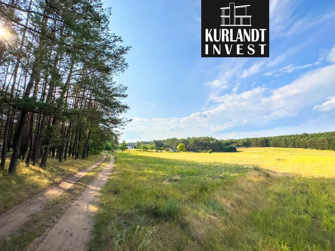 Działka w sercu Borów Tucholskich blisko jeziora