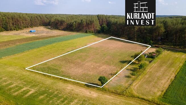 Działka w sercu Borów Tucholskich blisko jeziora