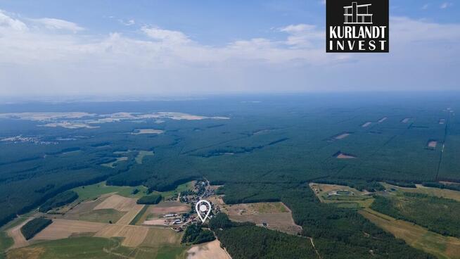 Dom w Borach Tucholskich lasy jeziora