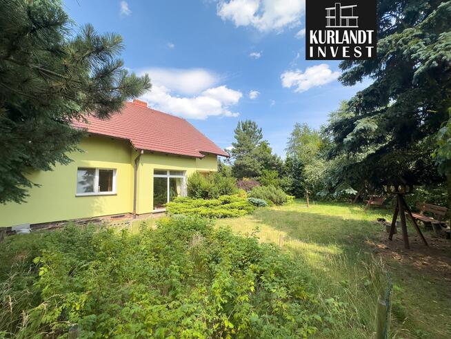 Dom w Borach Tucholskich lasy jeziora