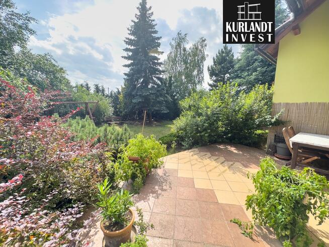 Dom w Borach Tucholskich lasy jeziora