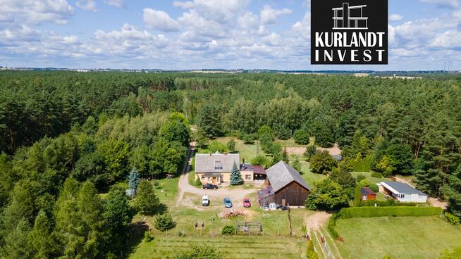 Dom w środku lasu blisko Brdy