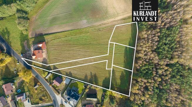 Działki w Borach Tucholskich