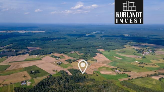 Duża działka budowlana z lasem