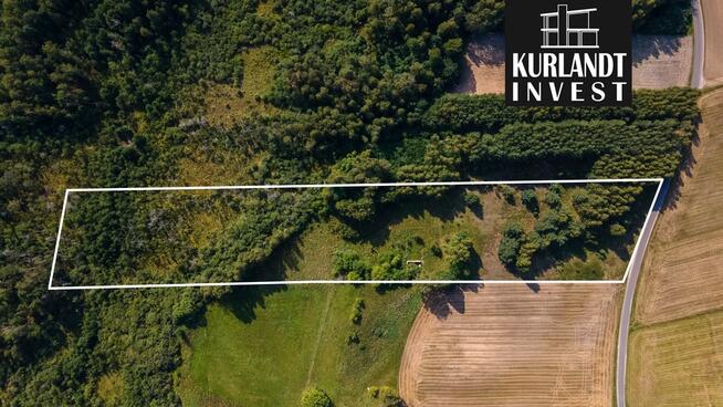 Duża działka budowlana z lasem