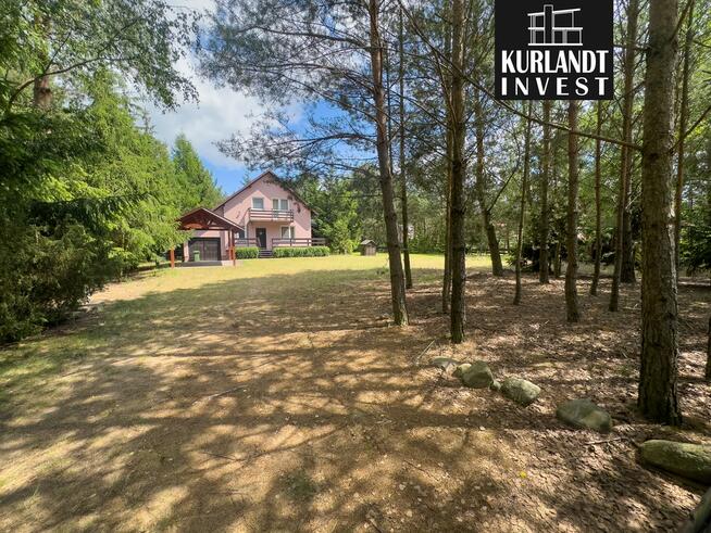 Dom Piła Nogawica jezioro las Bory Tucholskie