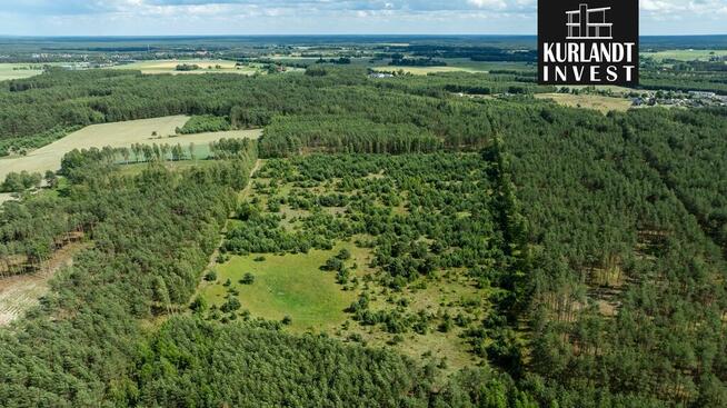 Kompleks działek otoczony Lasem Państwowym