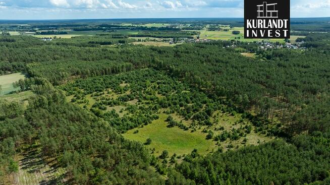 Kompleks działek otoczony Lasem Państwowym