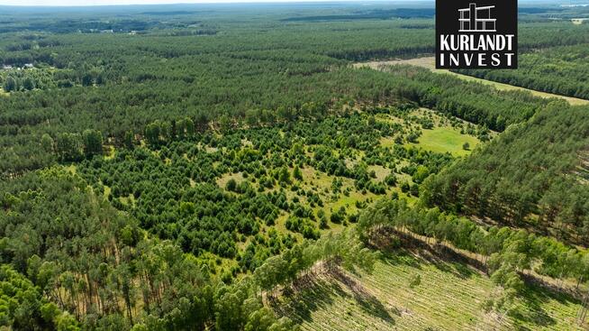 Kompleks działek otoczony Lasem Państwowym