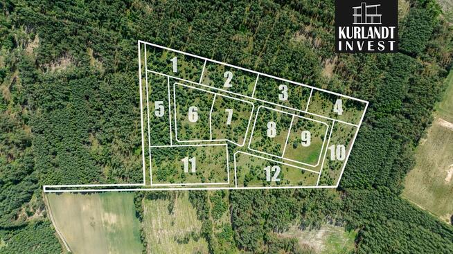 Kompleks działek otoczony Lasem Państwowym