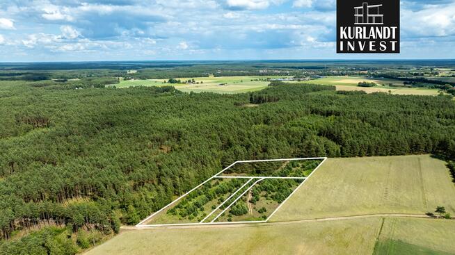 Działki budowlane otoczone Lasem