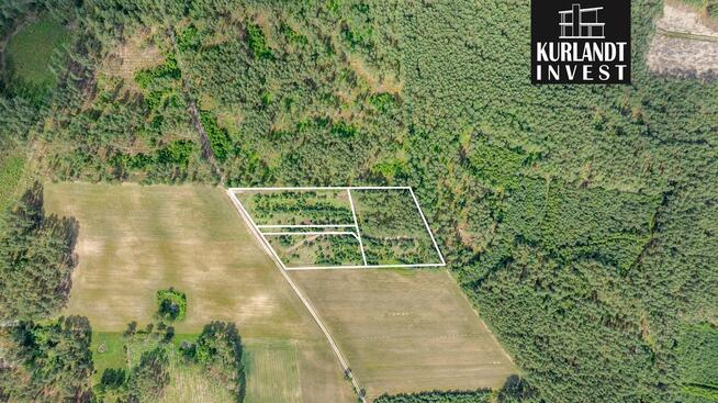 Działki budowlane otoczone Lasem