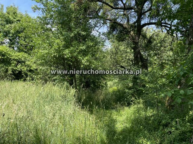 Działka budowlana Wodzisław Śląski