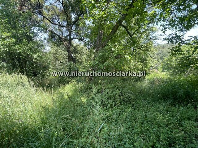 Działka budowlana Wodzisław Śląski