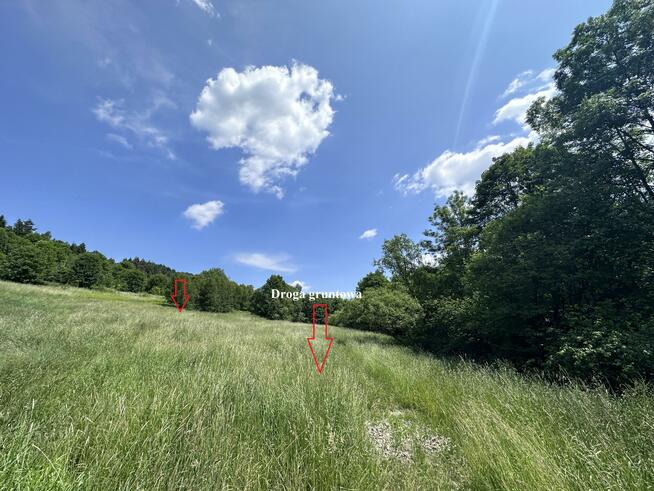 Działka rolna Kasina Wielka gm. Mszana Dolna