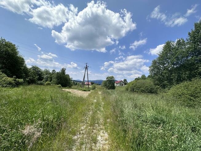 Działka rolna Kasina Wielka gm. Mszana Dolna