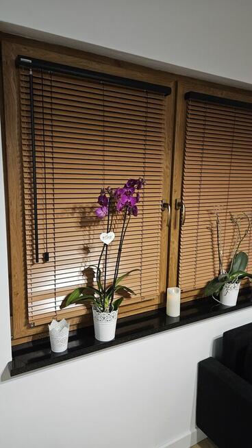 Żaluzje, rolety, plisy, moskitiery