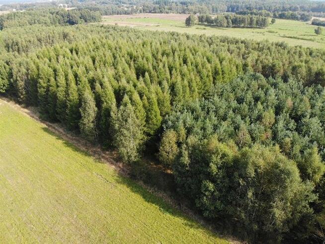 Działka rolna Wysokie gm. Łęczyce, xxx