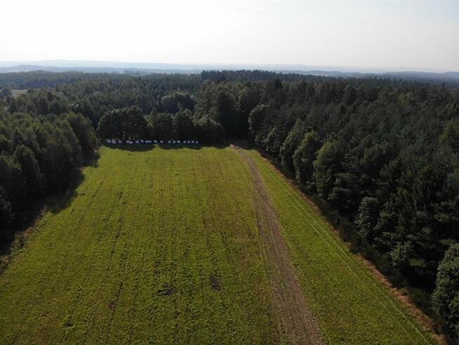 Działka rolna Wysokie gm. Łęczyce, xxx