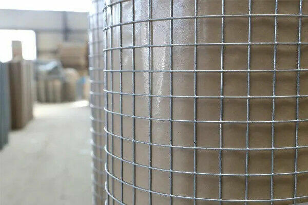 Siatka hodowlana kwadratowa ocynk. 1.0m/25m oczko 12.7x12.7