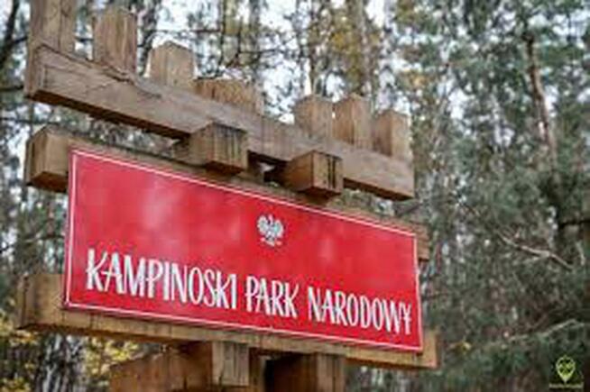 Działka budowlana Truskaw gm. Izabelin, Południowa