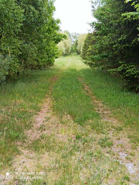 Dom Mieszkowo gm. Piaseczno