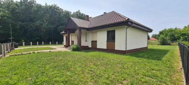 Wynajmę dom duża działka Super Lokalizacja
