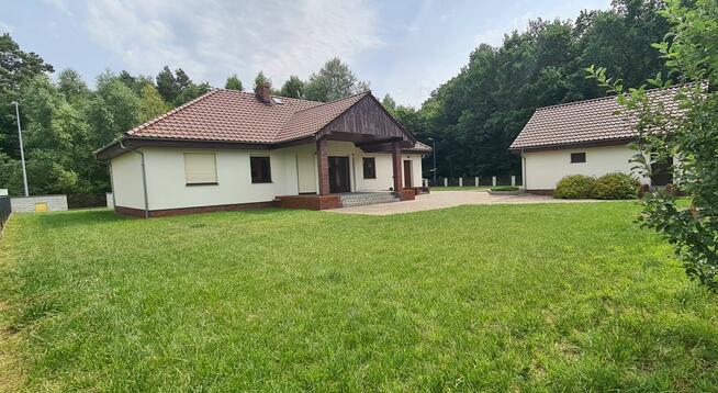 Wynajmę dom duża działka Super Lokalizacja