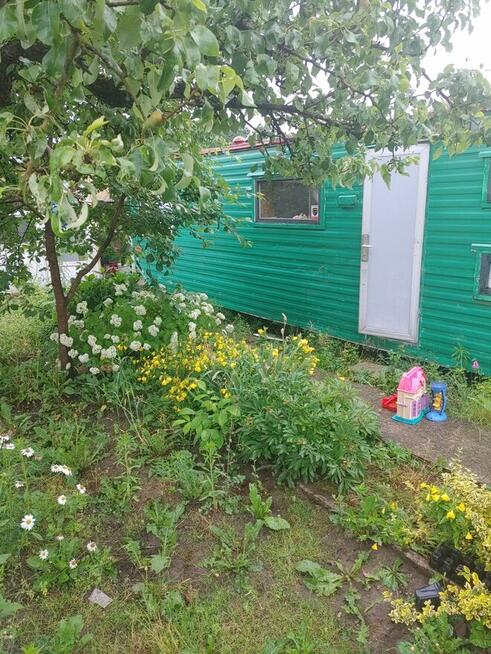 Atrakcyjna Dzialka rod