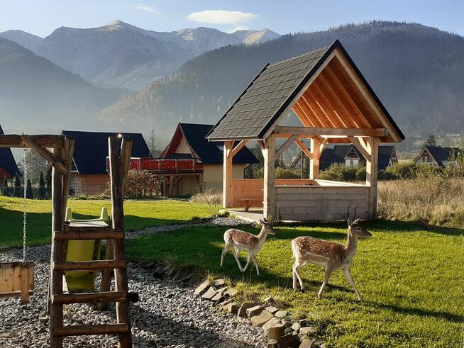 Apartament NR 2 Z WIDOKIEM wakacje Zakopane Kościelisko