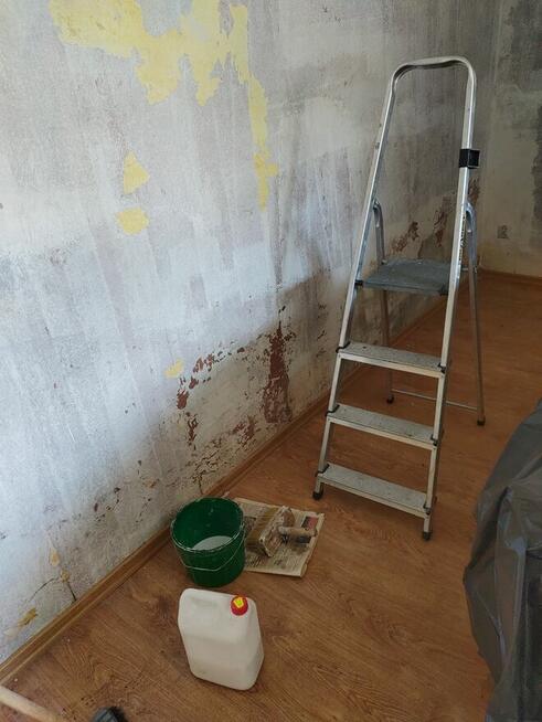 Wywóz śmierci sprzątanie posesji