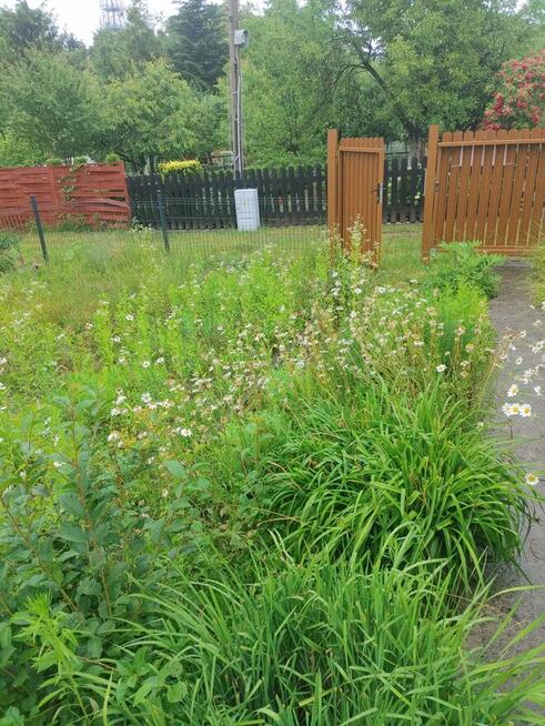 Atrakcyjna Dzialka rod