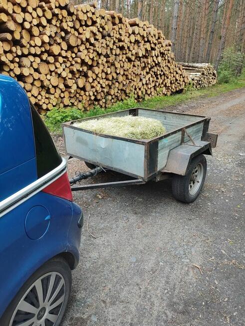 Wywóz śmierci sprzątanie posesji