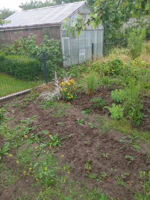 Atrakcyjna Dzialka rod