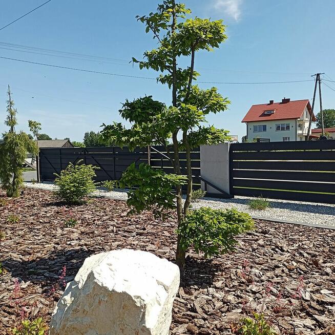 Zakładanie ogrodów kompleksowo. Minikoparka Ostrów Mazowiecka.