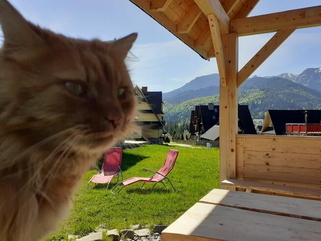 Apartament NR 7 Wakacje weekend nocleg Zakopane/Kościelisko