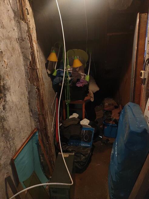 Wywóz śmierci sprzątanie posesji