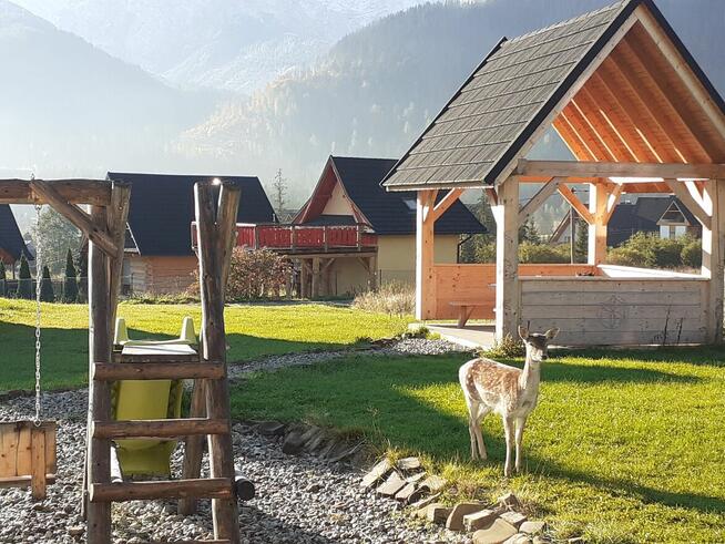Apartament NR 7 Wakacje weekend nocleg Zakopane/Kościelisko