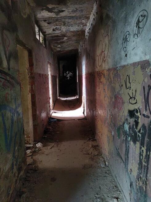 Wywóz śmierci sprzątanie posesji