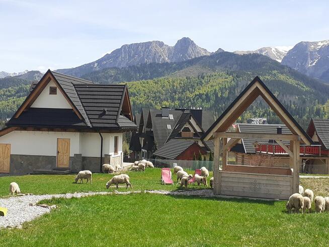 Apartament NR 3 Wakacje weekend Noclegi Zakopane Kościelisko